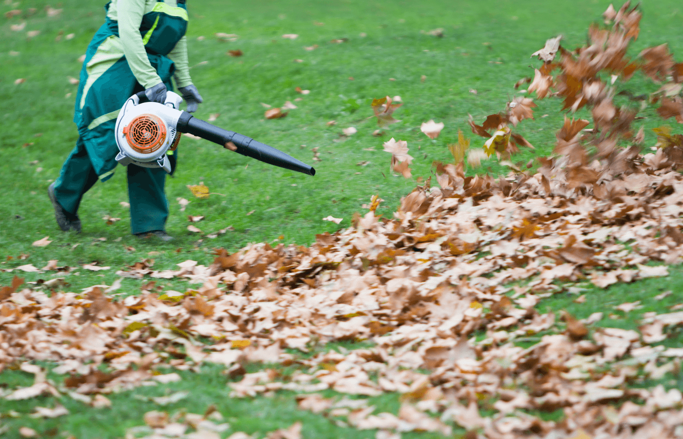 Fall Cleanup