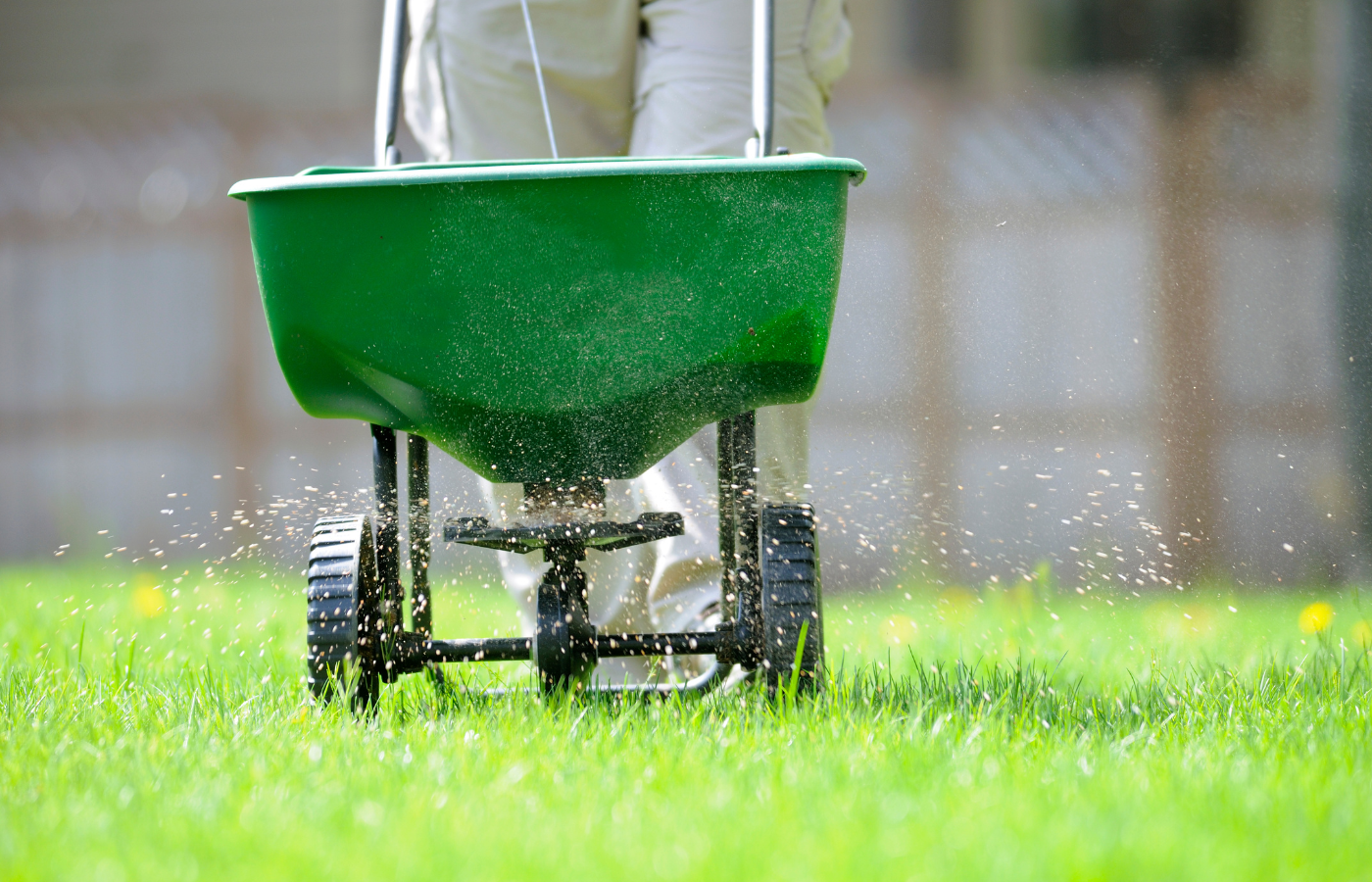 Fertilizing